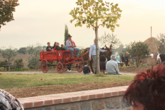 2010_carro-306