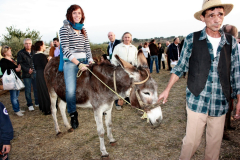 2010_carro-313