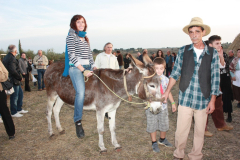 2010_carro-314