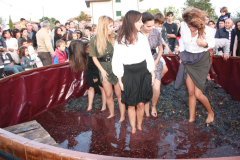 2010_carro-327