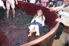 2010_carro-330