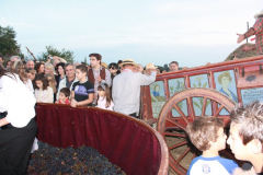 2010_carro-337