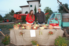2010_carro-338