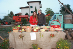 2010_carro-339