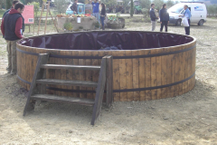 2010_carro-353