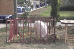 2010_carro-355