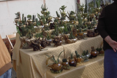 2010_carro-361