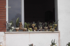 2010_carro-362