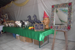 2010_carro-364