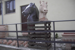 2010_carro-376
