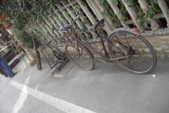 2010_carro-394