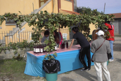 2010_carro-401