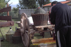 2010_carro-403