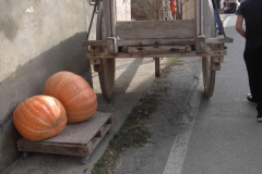 2010_carro-409