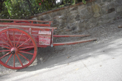 2010_carro-420