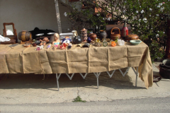 2010_carro-423