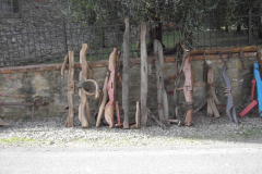 2010_carro-426
