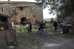 2010_carro-436
