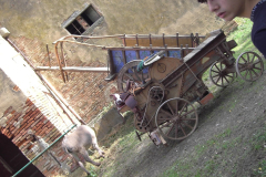 2010_carro-443