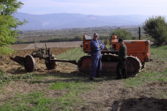 2010_carro-447