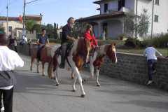 2010_carro-452