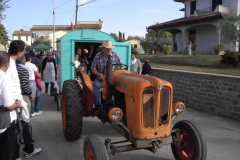 2010_carro-456