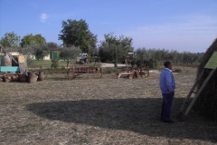 2010_carro-473