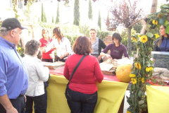 2010_carro-501
