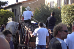 2010_carro-511