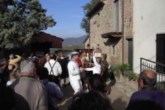2010_carro-540