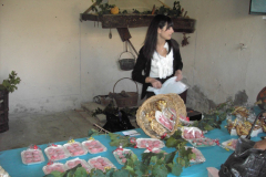 2010_carro-554