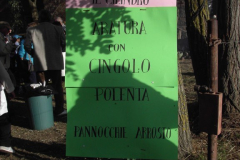 2010_carro-561