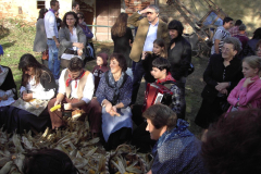 2010_carro-564