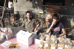 2010_carro-599
