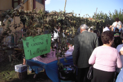 2010_carro-610