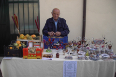2010_carro-617