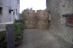2011_carro-136