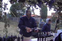 2011_carro-143