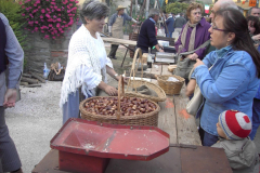 2011_carro-153