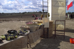 2011_carro-167