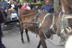2011_carro-193