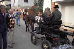 2011_carro-202