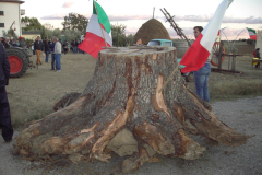 2011_carro-207