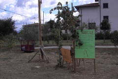 2011_carro-223