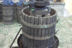 2011_carro-234