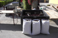 2011_carro-235