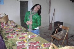 2011_carro-240