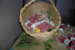 2011_carro-241