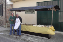 2011_carro-243