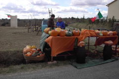 2011_carro-267